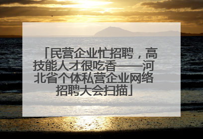 民营企业忙招聘，高技能人才很吃香——河北省个体私营企业网络招聘大会扫描