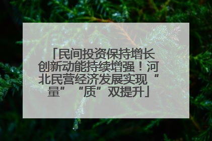 民间投资保持增长 创新动能持续增强！河北民营经济发展实现“量”“质”双提升