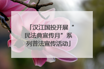 汉江国投开展“民法典宣传月”系列普法宣传活动