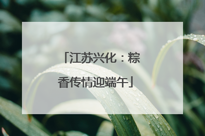 江苏兴化：粽香传情迎端午