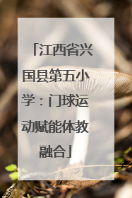 江西省兴国县第五小学：门球运动赋能体教融合