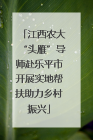 江西农大“头雁”导师赴乐平市开展实地帮扶助力乡村振兴