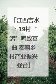江西吉水：19村“鸽”鸣致富曲 奏响乡村产业振兴强音