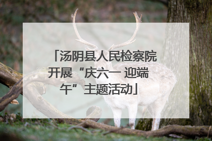 汤阴县人民检察院开展“庆六一 迎端午”主题活动