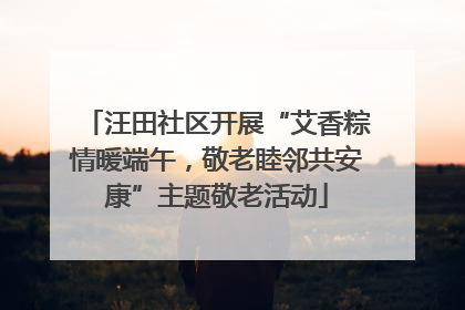 汪田社区开展“艾香粽情暖端午，敬老睦邻共安康”主题敬老活动