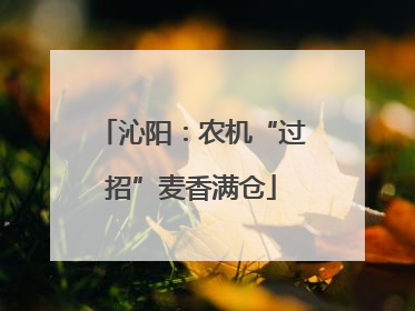 沁阳：农机“过招”麦香满仓