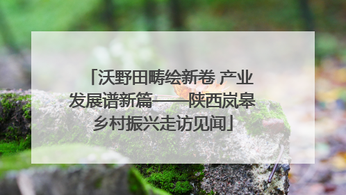 沃野田畴绘新卷 产业发展谱新篇——陕西岚皋乡村振兴走访见闻