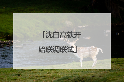 沈白高铁开始联调联试