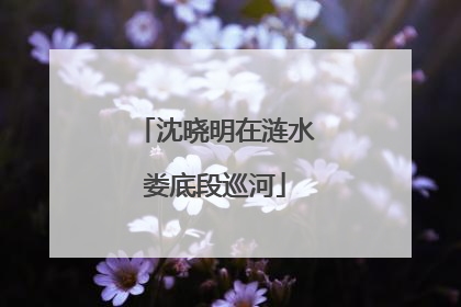 沈晓明在涟水娄底段巡河