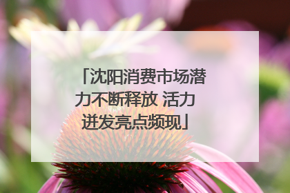 沈阳消费市场潜力不断释放 活力迸发亮点频现
