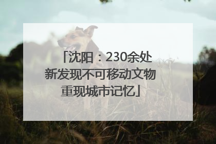 沈阳：230余处新发现不可移动文物重现城市记忆