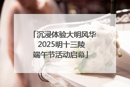 沉浸体验大明风华 2025明十三陵端午节活动启幕