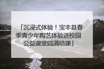 沉浸式体验！宝丰县春季青少年陶艺体验进校园公益课堂圆满结课