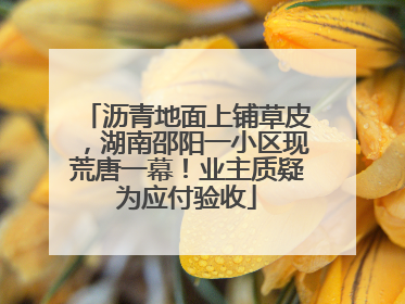 沥青地面上铺草皮，湖南邵阳一小区现荒唐一幕！业主质疑为应付验收