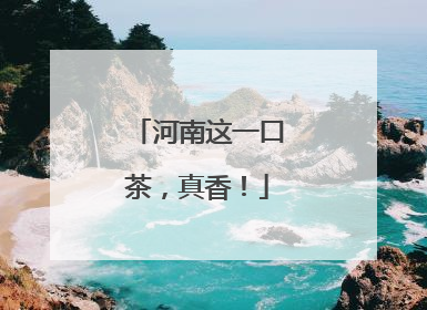 河南这一口茶，真香！