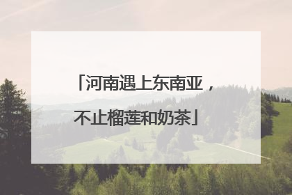 河南遇上东南亚，不止榴莲和奶茶