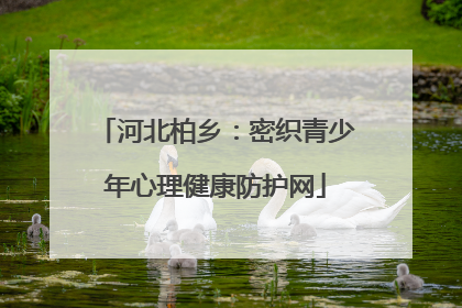 河北柏乡：密织青少年心理健康防护网