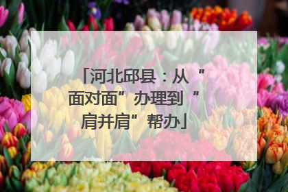 河北邱县：从“面对面”办理到“肩并肩”帮办