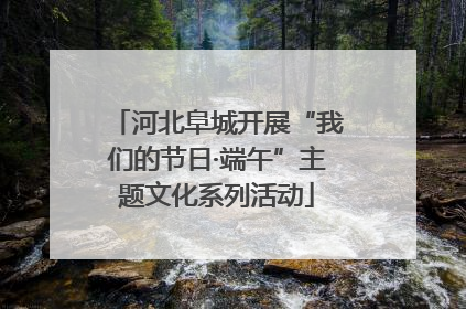 河北阜城开展“我们的节日·端午”主题文化系列活动