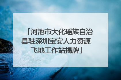 河池市大化瑶族自治县驻深圳宝安人力资源飞地工作站揭牌