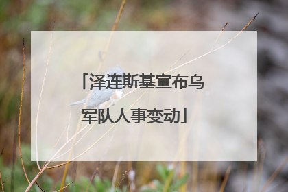 泽连斯基宣布乌军队人事变动
