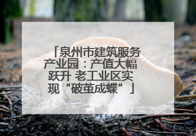 泉州市建筑服务产业园：产值大幅跃升 老工业区实现“破茧成蝶”