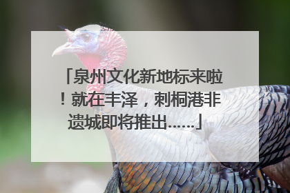泉州文化新地标来啦！就在丰泽，刺桐港非遗城即将推出……