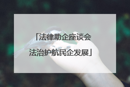 法律助企座谈会 法治护航民企发展