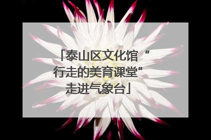 泰山区文化馆“行走的美育课堂”走进气象台