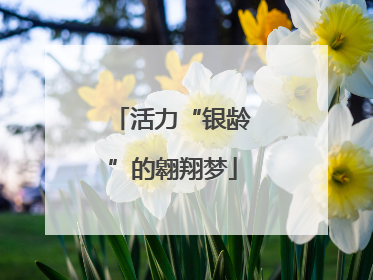 活力“银龄”的翱翔梦