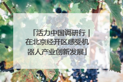 活力中国调研行｜在北京经开区感受机器人产业创新发展