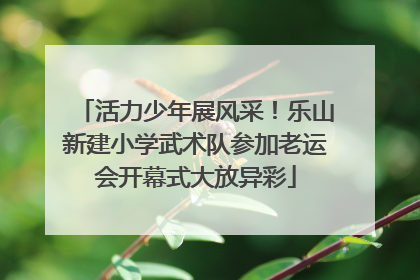 活力少年展风采！乐山新建小学武术队参加老运会开幕式大放异彩