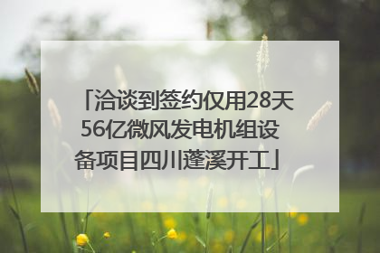 洽谈到签约仅用28天 56亿微风发电机组设备项目四川蓬溪开工