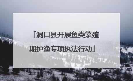洞口县开展鱼类繁殖期护渔专项执法行动