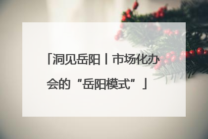 洞见岳阳丨市场化办会的“岳阳模式”