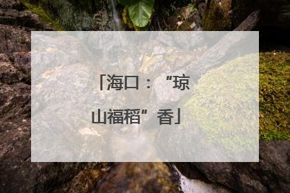 海口：“琼山福稻”香
