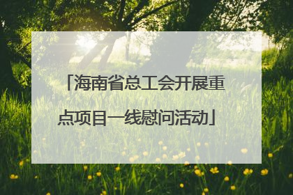 海南省总工会开展重点项目一线慰问活动