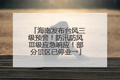 海南发布台风三级预警！防汛防风Ⅲ级应急响应！部分景区已停业→