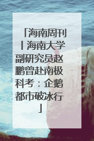 海南周刊丨海南大学副研究员赵鹏曾赴南极科考：企鹅都市破冰行