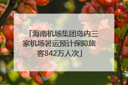海南机场集团岛内三家机场暑运预计保障旅客842万人次