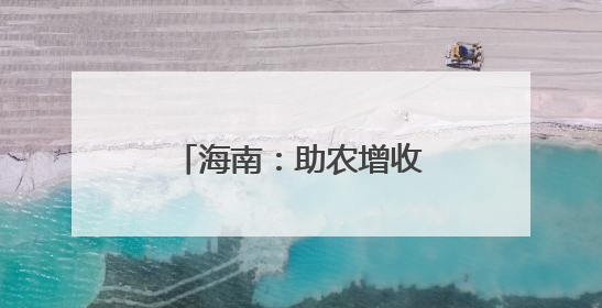 海南：助农增收 “黄金叶”