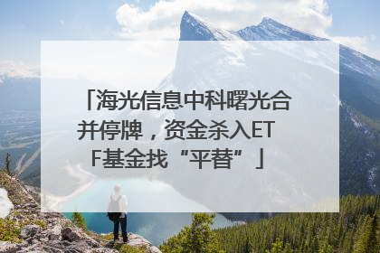 海光信息中科曙光合并停牌，资金杀入ETF基金找“平替”