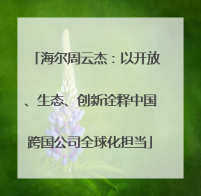 海尔周云杰：以开放、生态、创新诠释中国跨国公司全球化担当