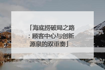 海底捞破局之路：顾客中心与创新源泉的双重奏