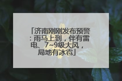 济南刚刚发布预警：雨马上到，伴有雷电、7~9级大风，局地有冰雹