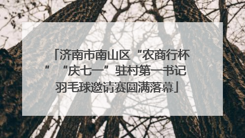 济南市南山区“农商行杯”“庆七一”驻村第一书记 羽毛球邀请赛圆满落幕