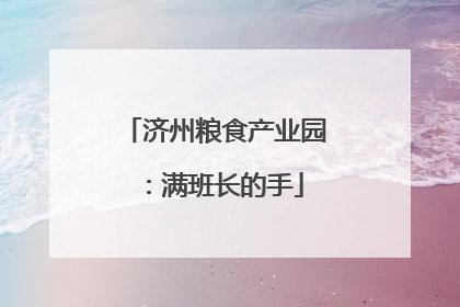 济州粮食产业园：满班长的手
