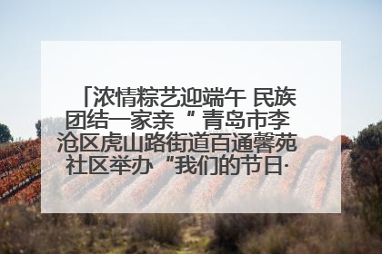 浓情粽艺迎端午 民族团结一家亲“ 青岛市李沧区虎山路街道百通馨苑社区举办“我们的节日·端午“主题活动