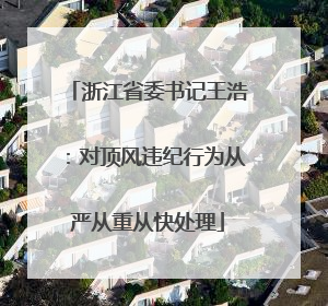 浙江省委书记王浩：对顶风违纪行为从严从重从快处理