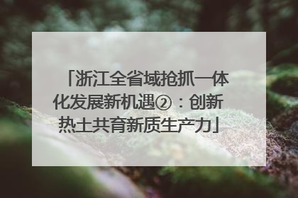 浙江全省域抢抓一体化发展新机遇②：创新热土共育新质生产力